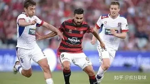 谈球吧 产品 121722 0dl