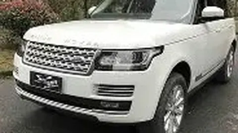 球星哈登胡须传奇：名人相伴篮球赛精彩瞬间