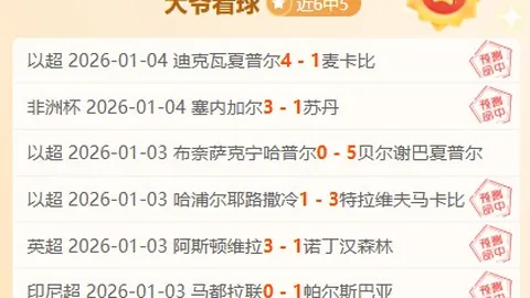东契奇赛场磨砺，独行侠高层哈里森悄然观摩