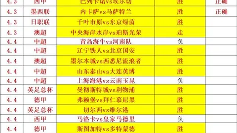 宝可梦冠军赛首战：单一宝可梦成主角